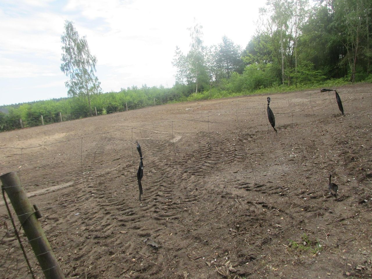 Działka budowlana Kępiaste. Zdjęcie 8