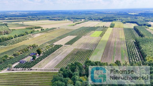 Działka siedliskowa Wierzchy. Zdjęcie 11