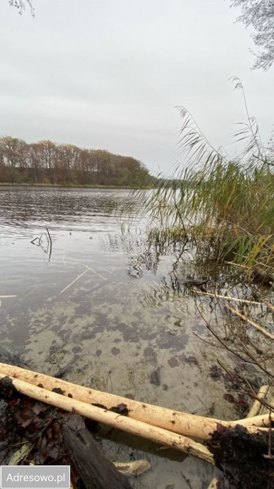 Działka rekreacyjna Tucze. Zdjęcie 6