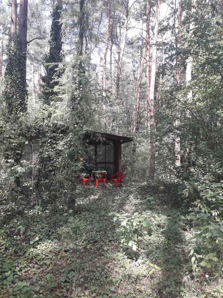 Działka budowlana Mniszew. Zdjęcie 5