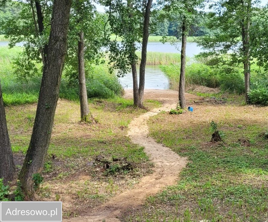 Działka rolno-budowlana Góry Lubiańskie. Zdjęcie 5