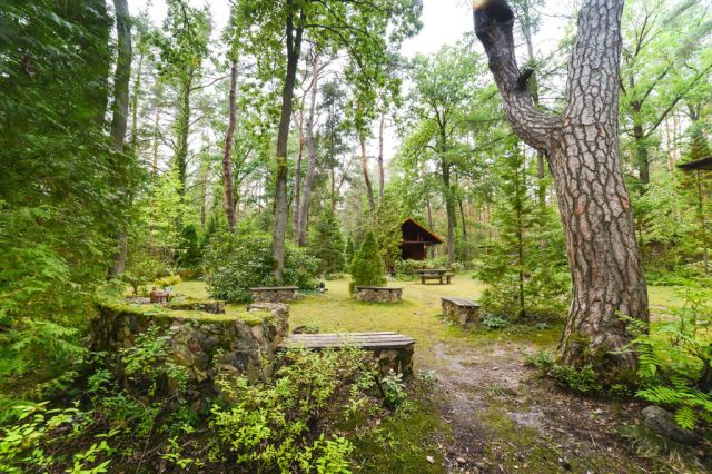 dom wolnostojący, 6 pokoi Poddębie, ul. Sosnowa. Zdjęcie 20