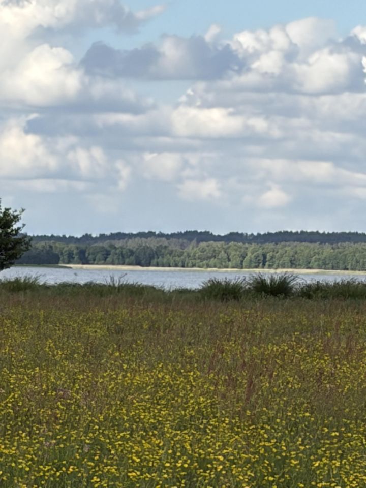 Działka rolna Kruszyn. Zdjęcie 11
