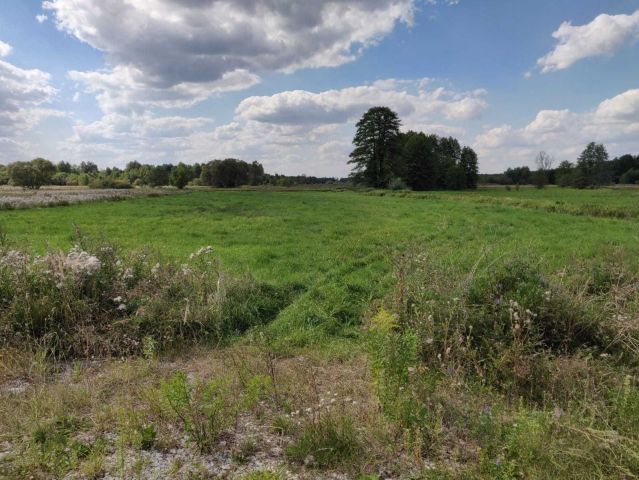 Działka budowlana Zabrodzie. Zdjęcie 1