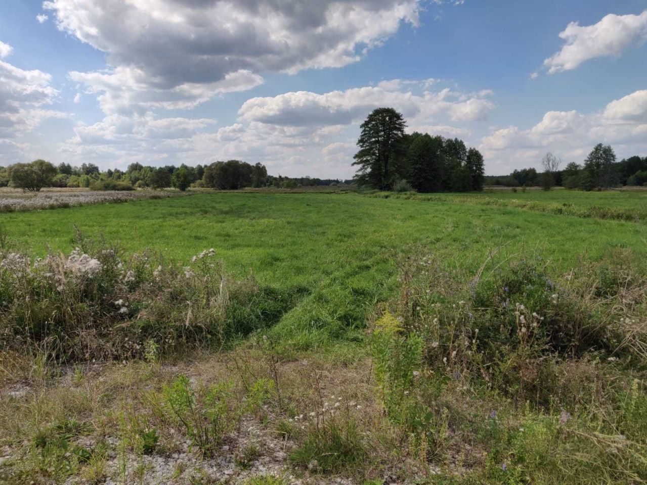 Działka budowlana Zabrodzie