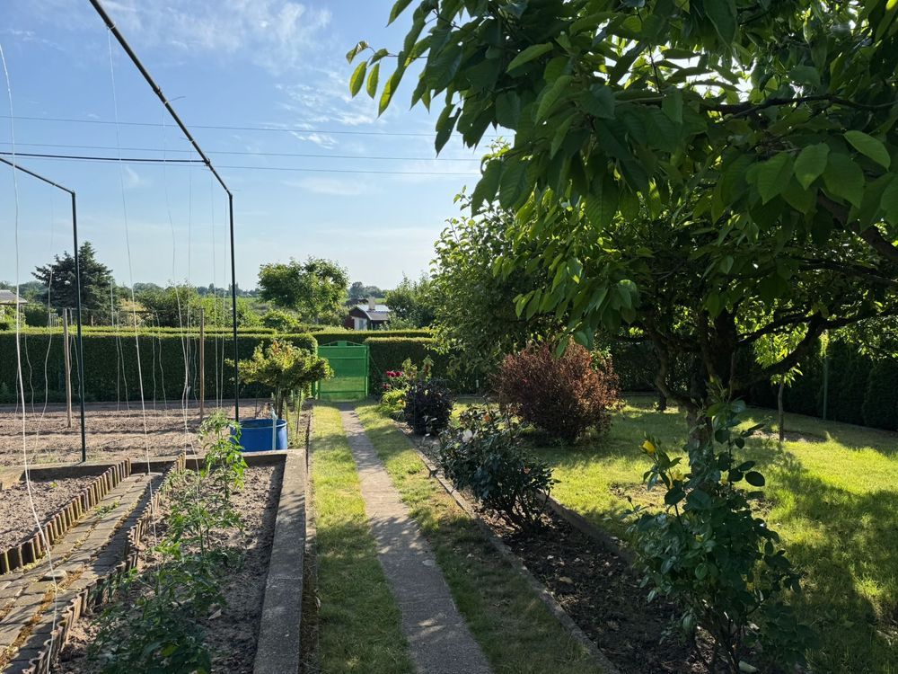 Działka rod Gniezno, ul. Biskupińska. Zdjęcie 6