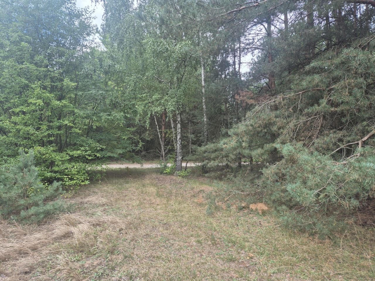 Działka budowlana Kurnos Drugi. Zdjęcie 7