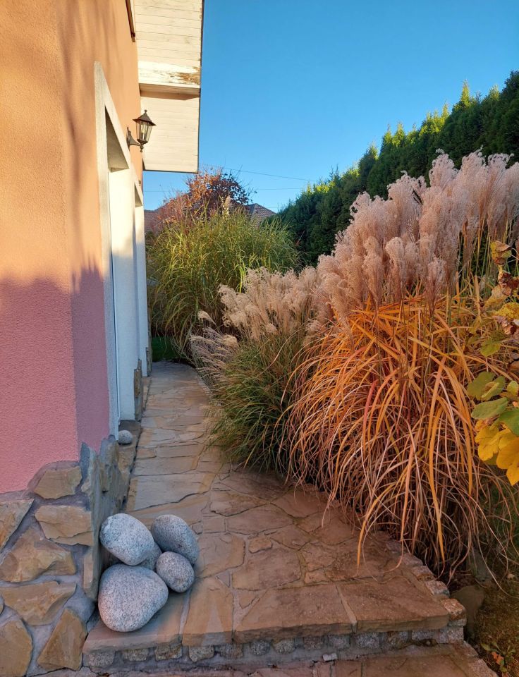 dom wolnostojący Królowa Polska. Zdjęcie 3