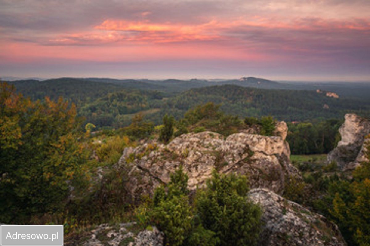 Działka budowlana Kiełkowice, ul. Więcki. Zdjęcie 4