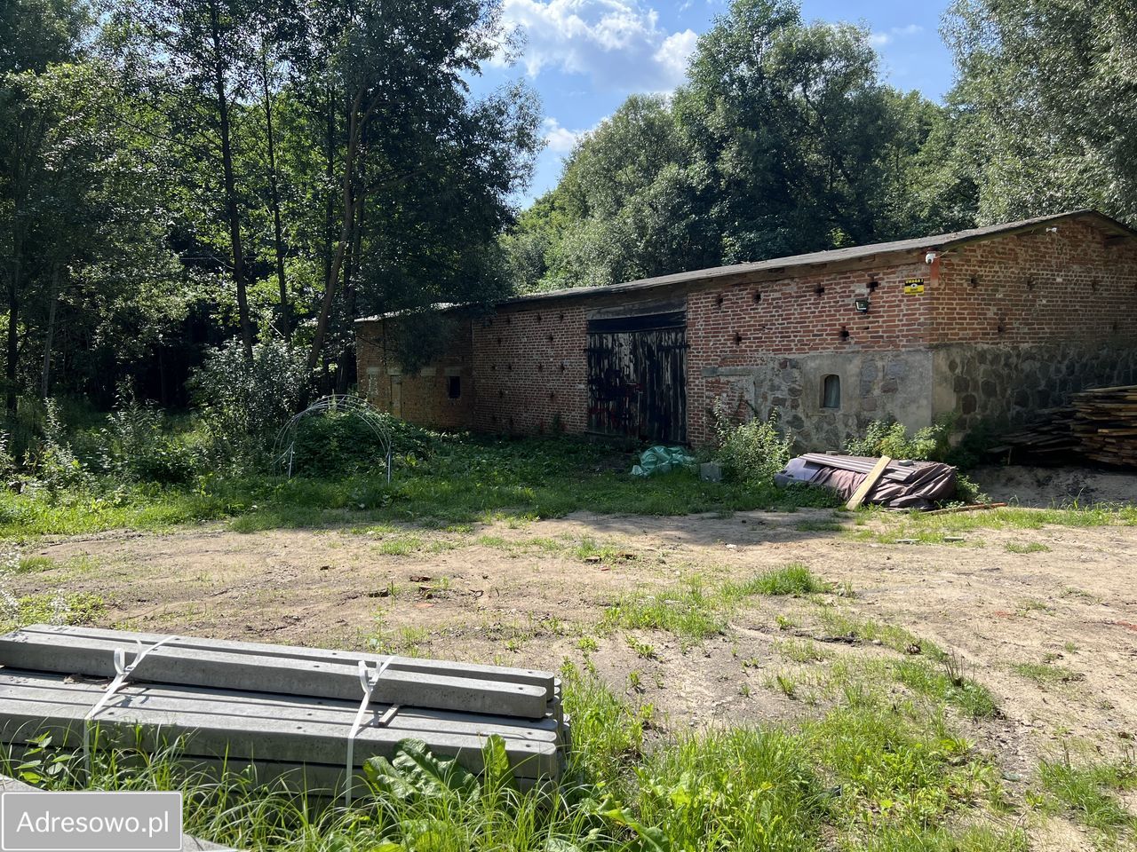 siedlisko Tuszewo. Zdjęcie 13