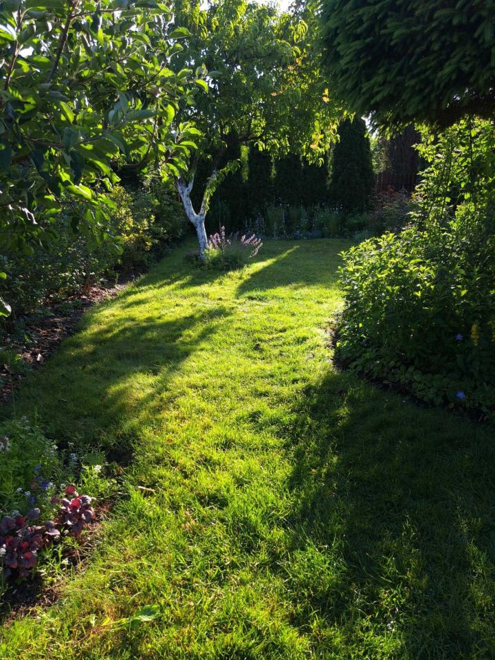 Działka rod Łomianki, ul. Łąkowa. Zdjęcie 4