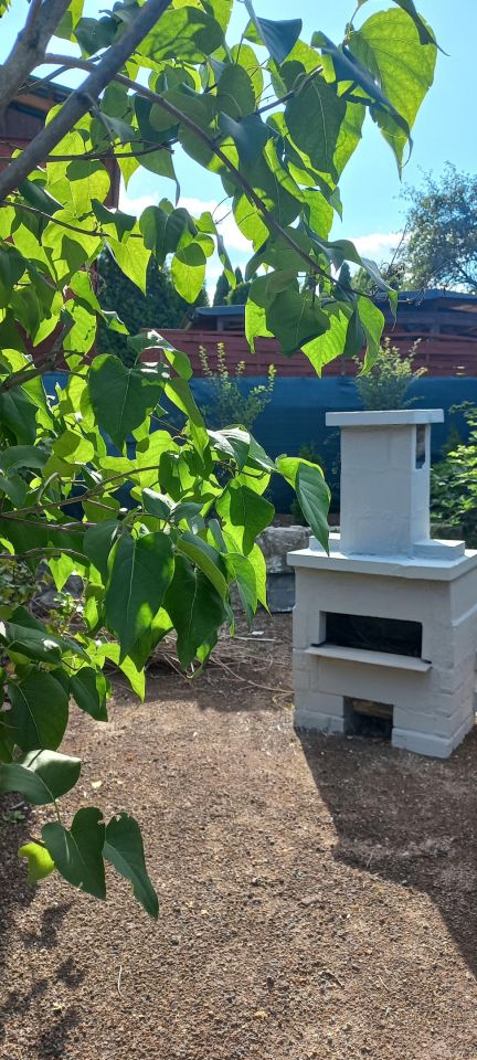 Działka rod Siemianowice Śląskie Centrum, ul. Pawła Śmiłowskiego. Zdjęcie 8