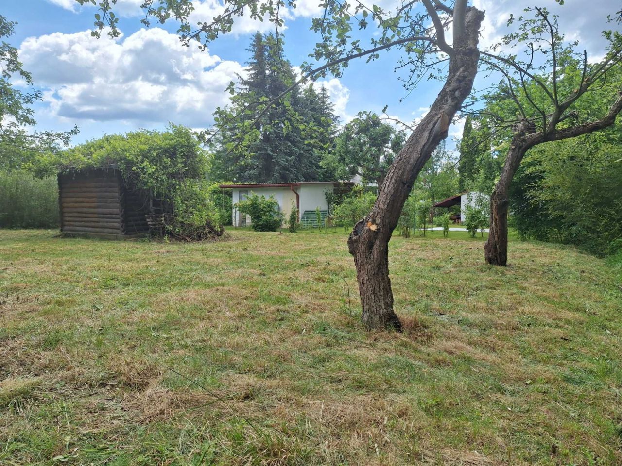 Działka rod Rzeszów. Zdjęcie 1