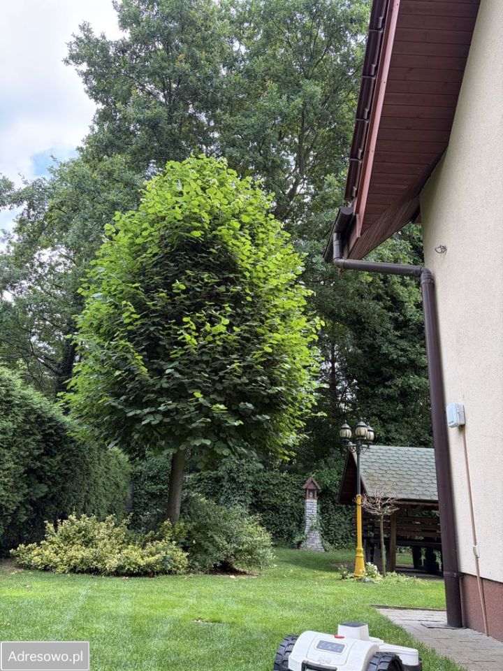 dom wolnostojący, 7 pokoi Kolonia Brużyca. Zdjęcie 7