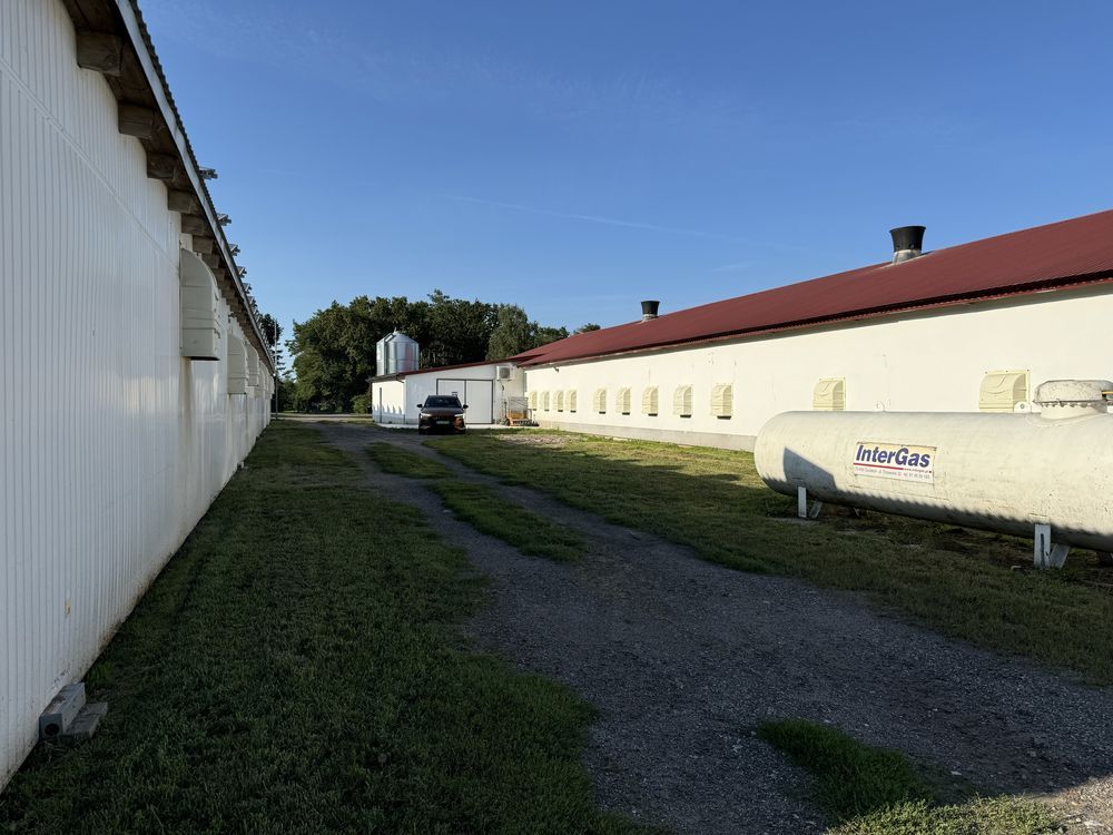 Hala/magazyn Reptowo. Zdjęcie 7