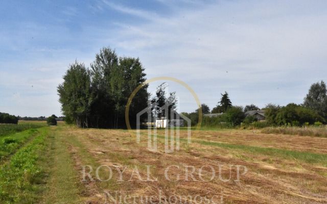 Działka siedliskowa Siedliska. Zdjęcie 3