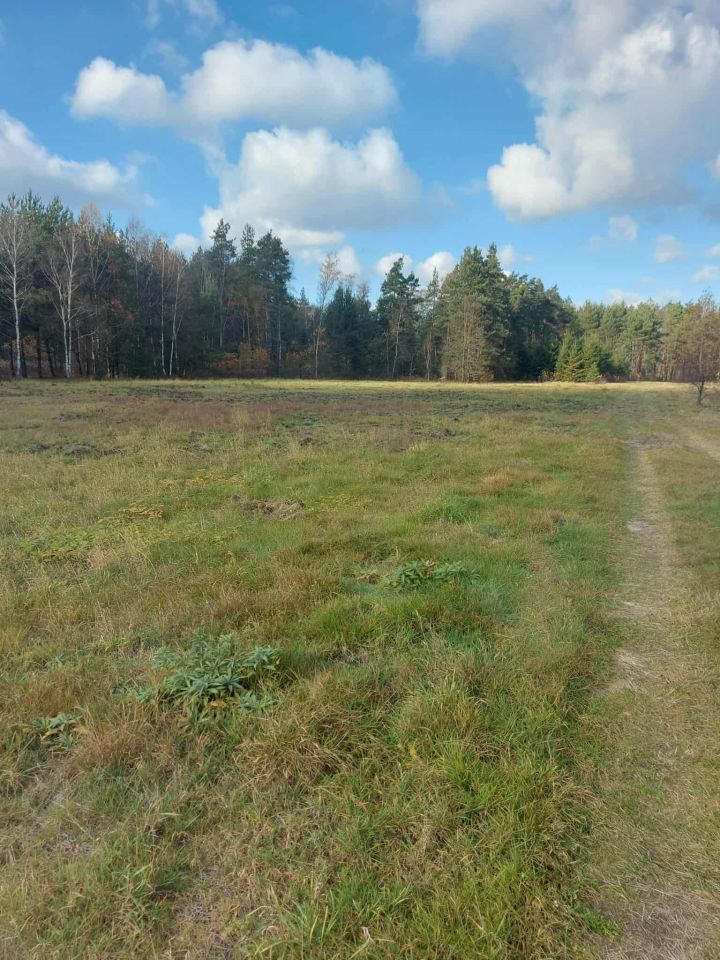 Działka inna Chotowa. Zdjęcie 3