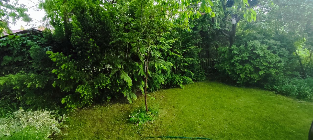 Działka rod Poznań Umultowo, ul. Miętowa. Zdjęcie 5