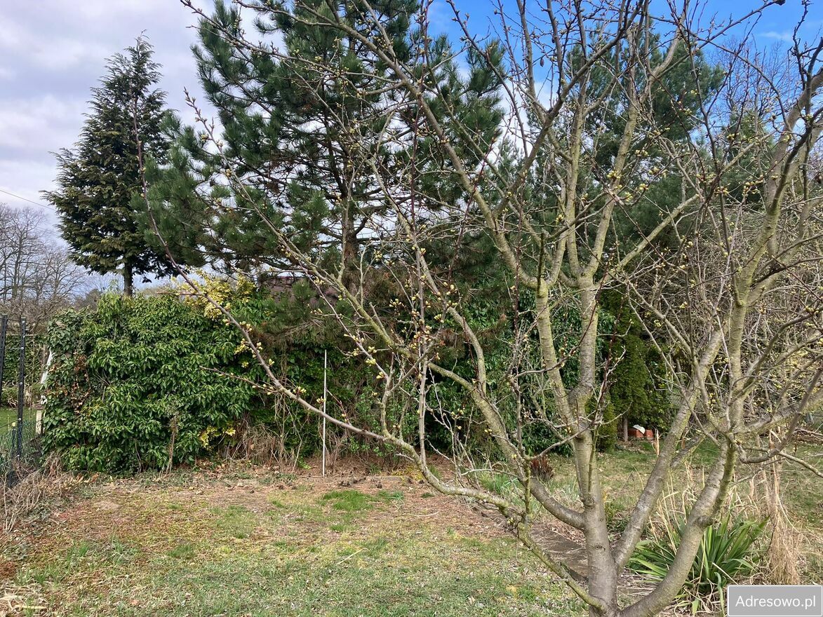 Działka rod Wrocław Pilczyce. Zdjęcie 13