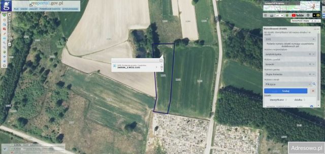 Działka rolna Pilczyca. Zdjęcie 1