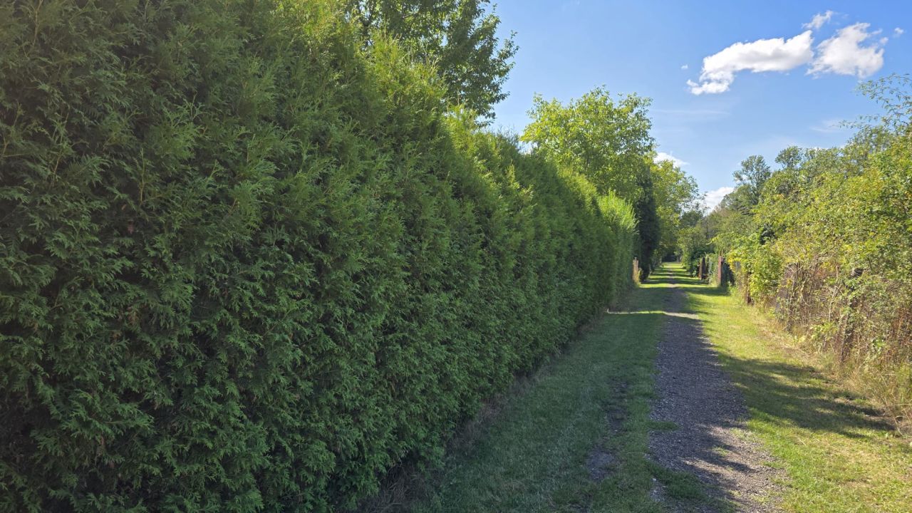 Działka rod Gliwice Sośnica, ul. Królewskiej Tamy. Zdjęcie 7