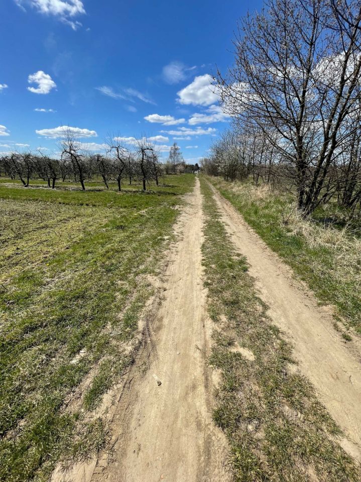 Działka siedliskowa Sobienie Szlacheckie. Zdjęcie 7