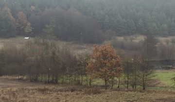 Działka rolno-budowlana Studzianki, ul. Polonijna