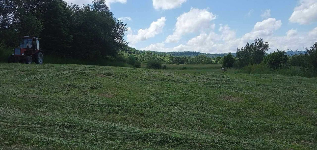 Działka budowlana Teodorówka. Zdjęcie 6