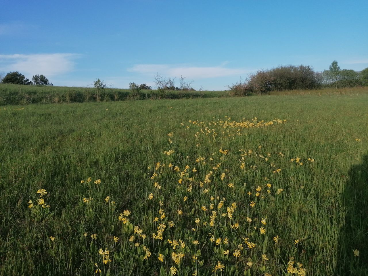 Działka rekreacyjna Rybotycze. Zdjęcie 30