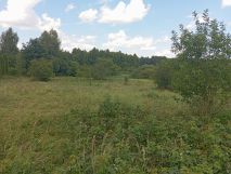 Działka rekreacyjna Bondyrz Mazury. Zdjęcie 3