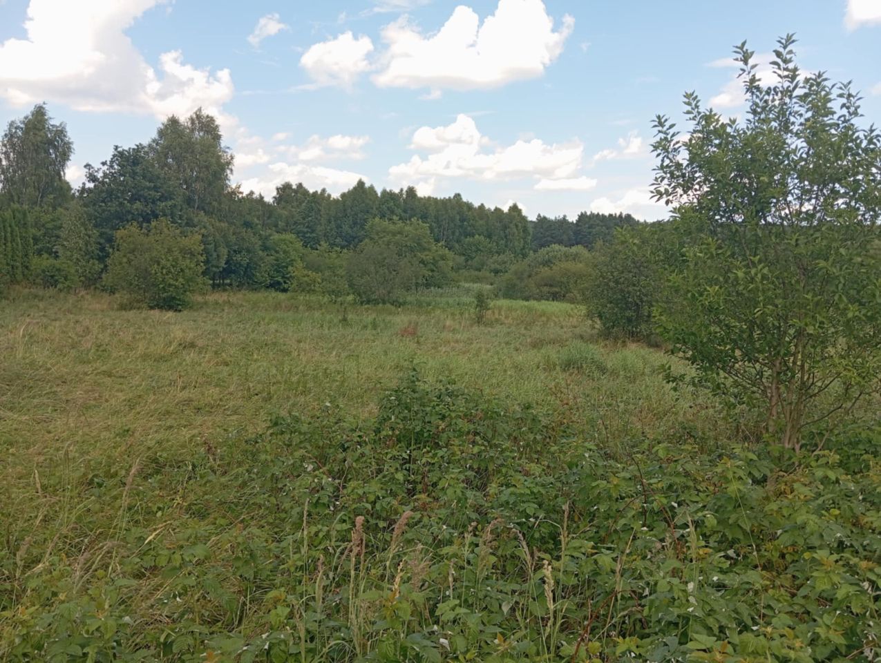 Działka rekreacyjna Bondyrz Mazury. Zdjęcie 4