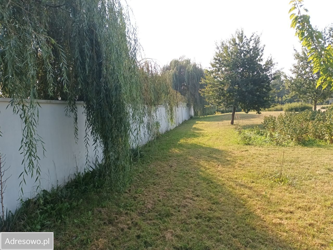 Działka budowlana Dębówka. Zdjęcie 8