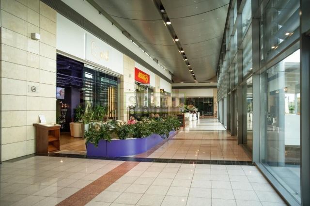 Mieszkanie 2-pokojowe Warszawa Wola, ul. Grzybowska. Zdjęcie 15