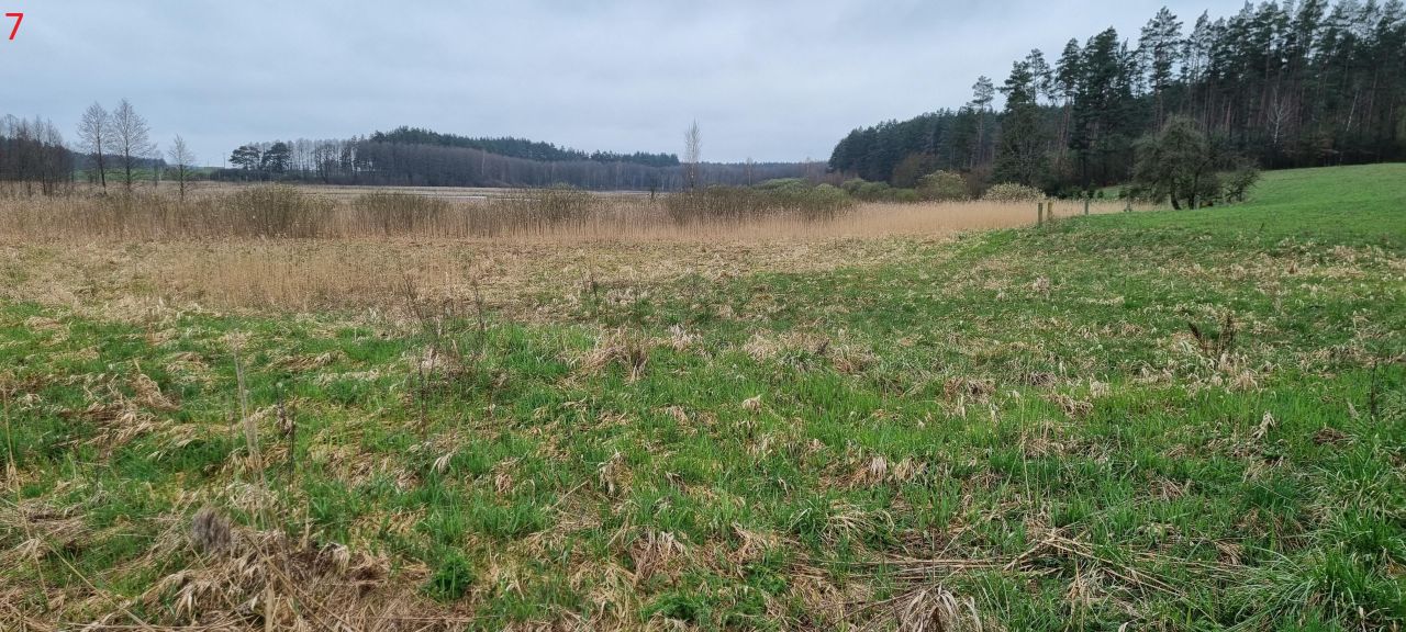 Działka rolna Piecki Piersławek. Zdjęcie 11