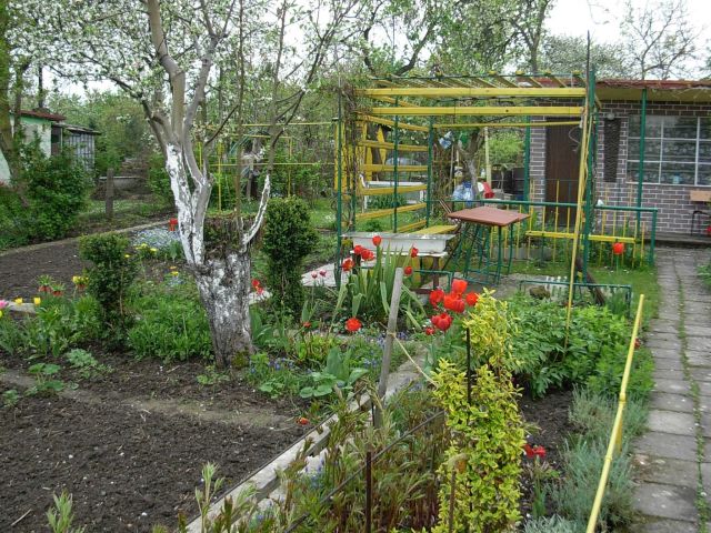 Działka rod Gliwice Stare Gliwice, ul. gen. Leopolda Okulickiego. Zdjęcie 1