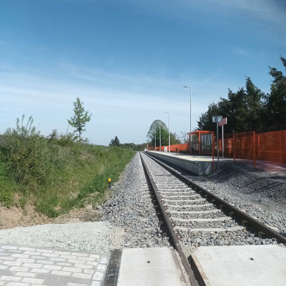 Działka Wilków Wielki. Zdjęcie 4