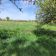 Działka rolno-budowlana Michałów. Zdjęcie 10