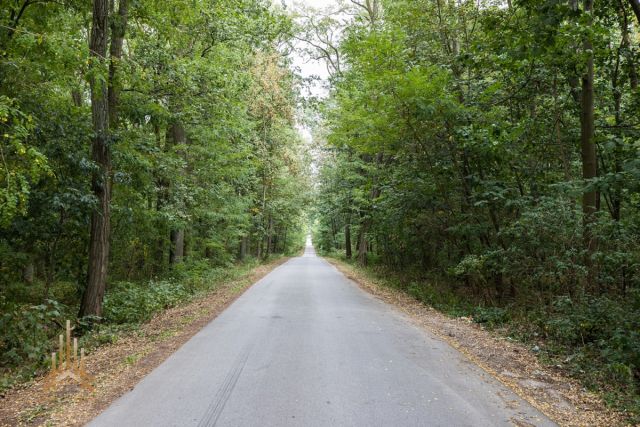 Działka inwestycyjna Konstantynów. Zdjęcie 23