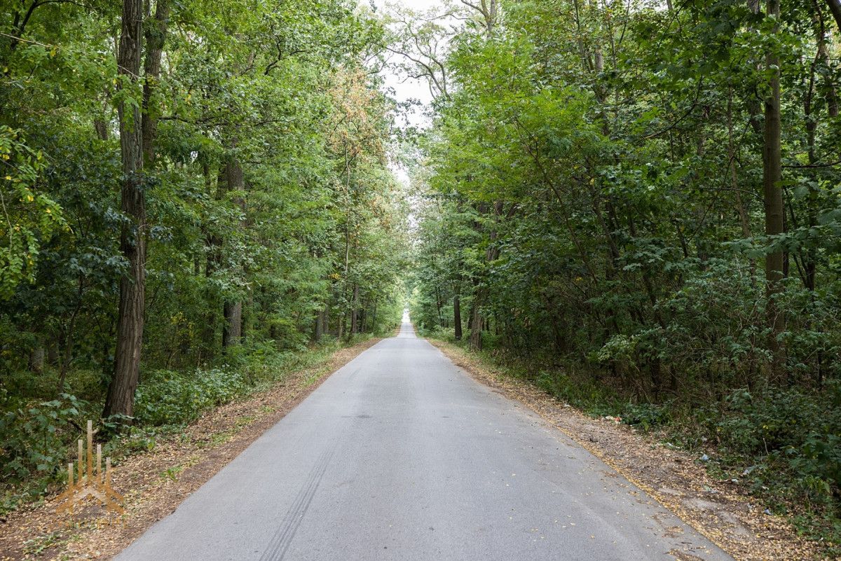 Działka inwestycyjna Konstantynów. Zdjęcie 23