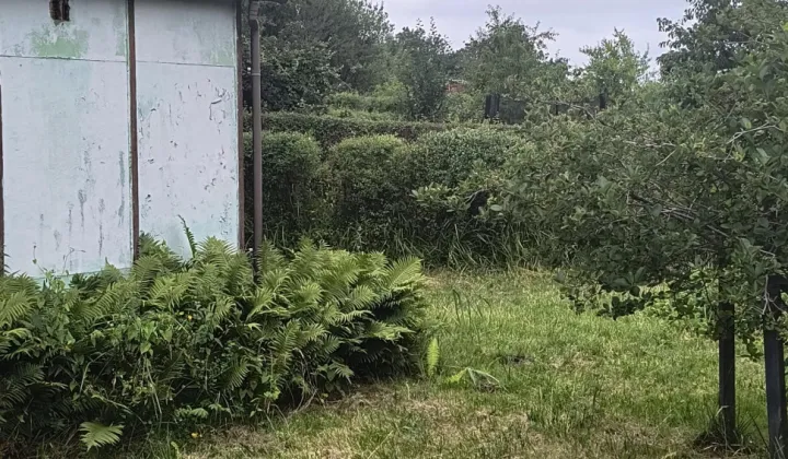 Działka rod Kołobrzeg, ul. Janiska