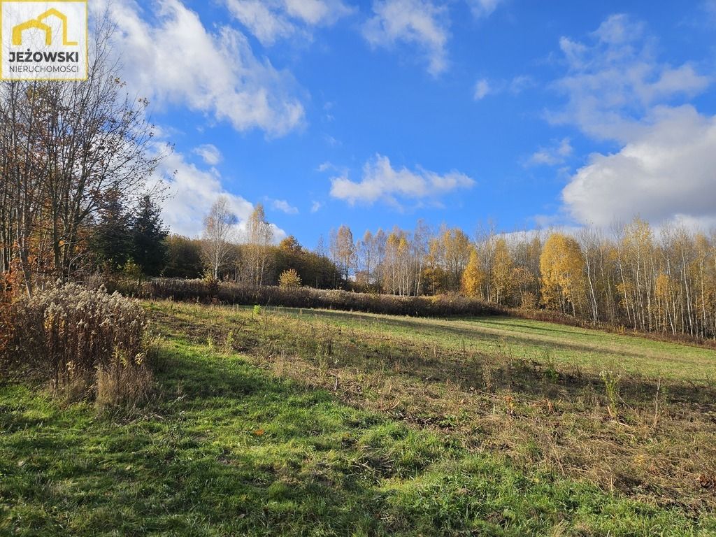 Działka budowlana Kazimierz Dolny Jeziorszczyzna. Zdjęcie 5