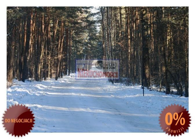 Działka leśna Tartak, Azaliowa. Zdjęcie 2