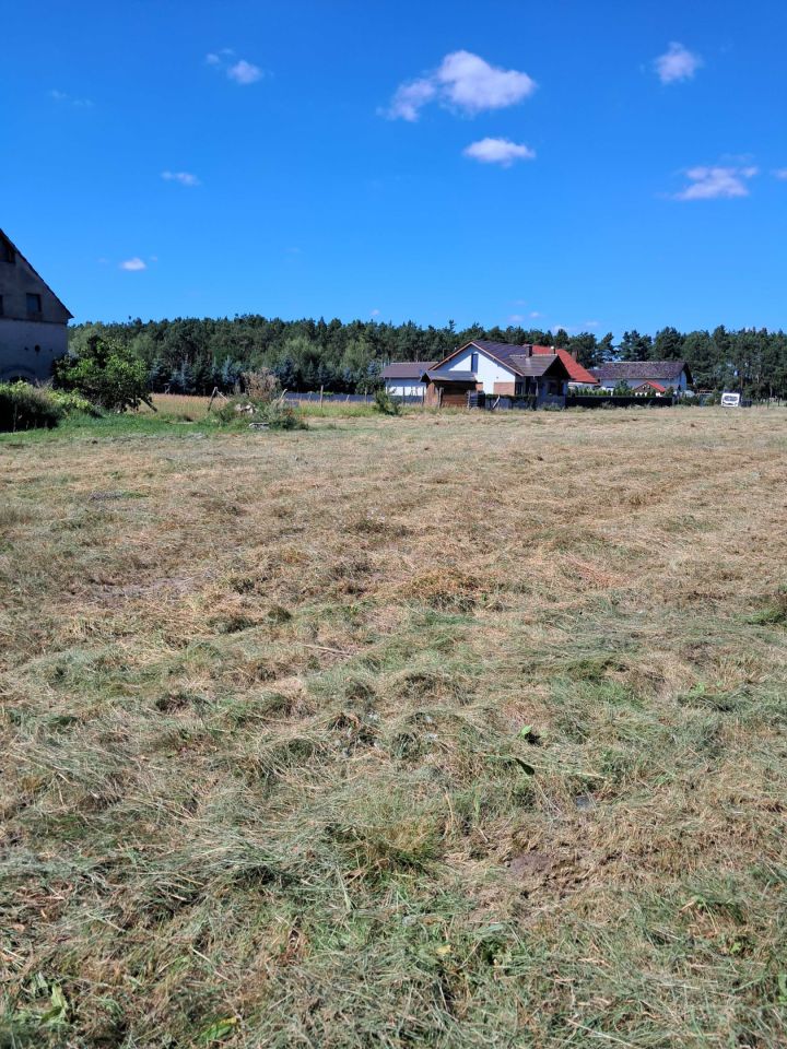 Działka budowlana Dzierżów. Zdjęcie 4