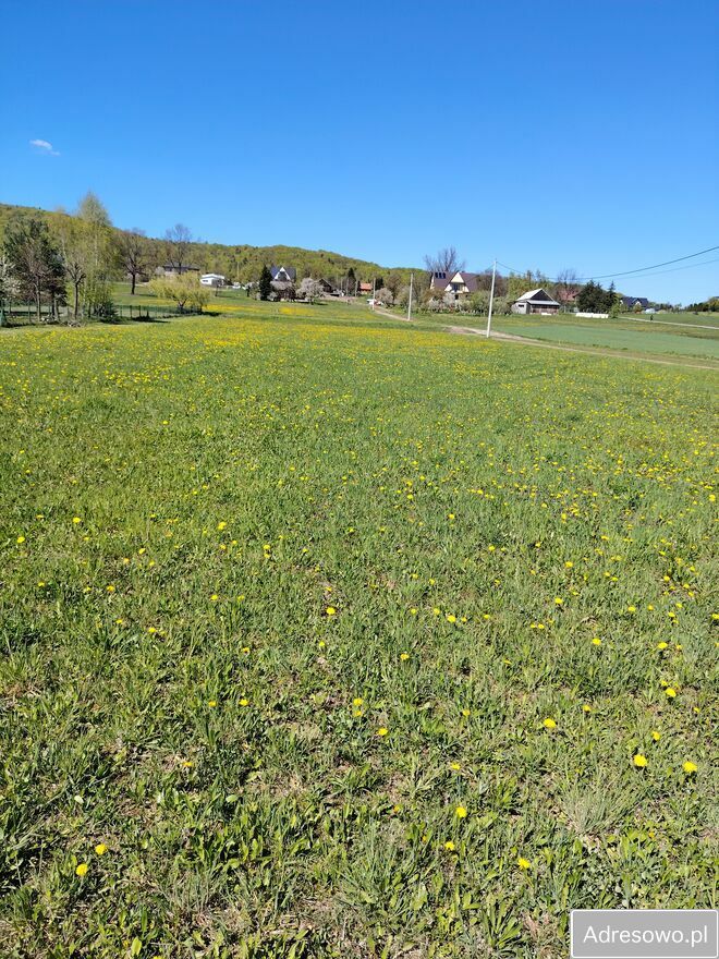 Działka budowlana Glichów. Zdjęcie 6
