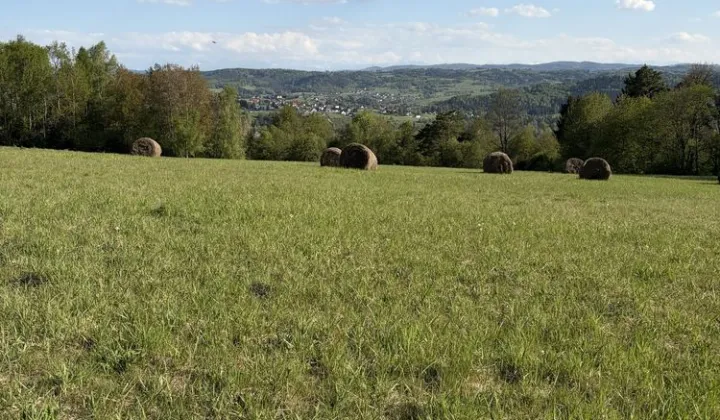 Działka rolna Jordanów