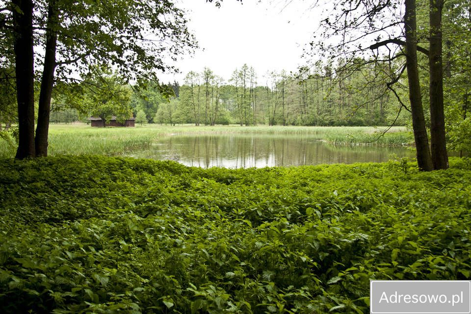 Hotel/pensjonat Goszowice Frączków. Zdjęcie 6