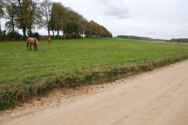 Działka budowlana Módłki. Zdjęcie 6