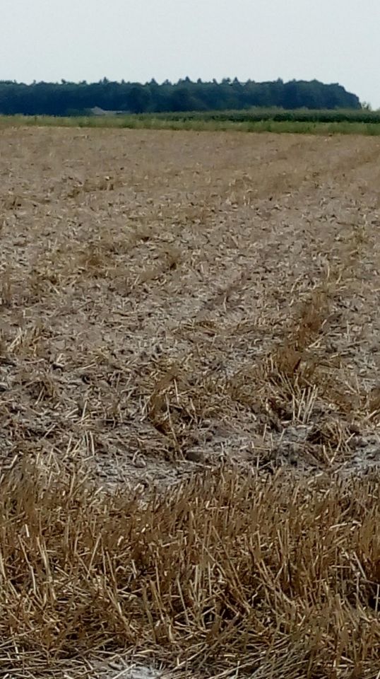 Działka rolna Władysław Doły. Zdjęcie 4