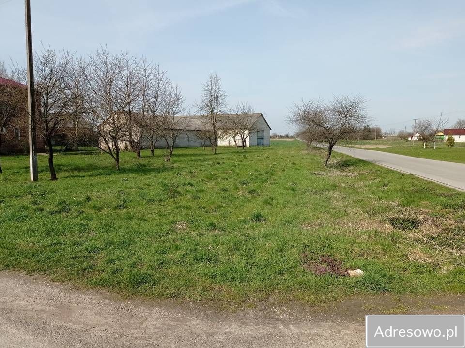 gospodarstwo, 5 pokoi Guzówka-Kolonia. Zdjęcie 6