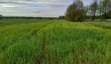Działka rolna Sokołów, Sokołów